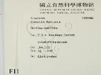 登錄號:F0011442藏品圖，第2張