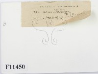登錄號:F0011450藏品圖，第2張