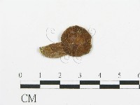 登錄號:F0011450藏品圖，第1張