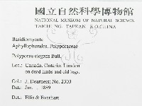 登錄號:F0011451藏品圖，第2張