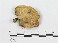 登錄號:F0011451藏品圖，第4張