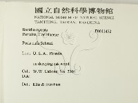 登錄號:F0011452藏品圖，第2張