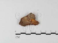 登錄號:F0011452藏品圖，第4張