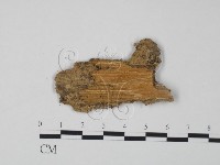 登錄號:F0011453藏品圖，第3張