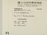 登錄號:F0011454藏品圖，第2張