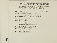 登錄號:F0011455藏品圖，第2張