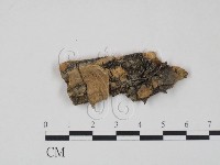 登錄號:F0011455藏品圖，第1張