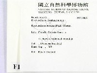 登錄號:F0011457藏品圖，第2張
