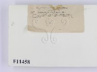 登錄號:F0011458藏品圖，第2張
