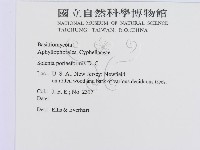 登錄號:F0011458藏品圖，第3張