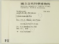登錄號:F0011459藏品圖，第2張