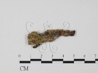 登錄號:F0011460藏品圖，第1張