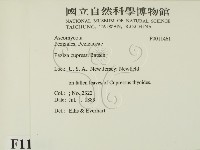 登錄號:F0011461藏品圖，第2張