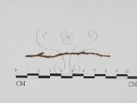 登錄號:F0011461藏品圖，第3張