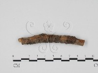 登錄號:F0011462藏品圖，第1張