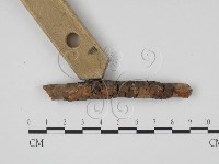 登錄號:F0011462藏品圖，第3張