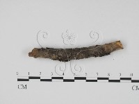 登錄號:F0011462藏品圖，第4張