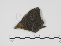 登錄號:F0011463藏品圖，第1張