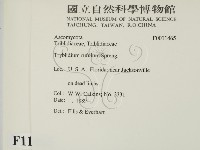 登錄號:F0011465藏品圖，第2張