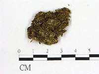 登錄號:F0011467藏品圖，第1張