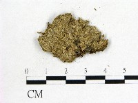 登錄號:F0011467藏品圖，第3張