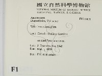 登錄號:F0011471藏品圖，第2張