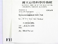 登錄號:F0011474藏品圖，第2張