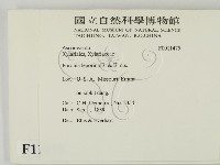 登錄號:F0011475藏品圖，第2張