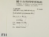 登錄號:F0011476藏品圖，第2張