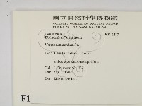 登錄號:F0011477藏品圖，第2張
