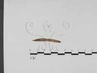 登錄號:F0011477藏品圖，第1張