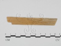 登錄號:F0011478藏品圖，第1張