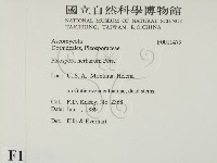 登錄號:F0011479藏品圖，第2張