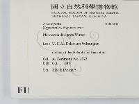 登錄號:F0011481藏品圖，第2張