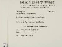 登錄號:F0011482藏品圖，第2張