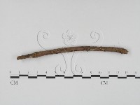 登錄號:F0011482藏品圖，第4張
