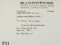 登錄號:F0011483藏品圖，第2張