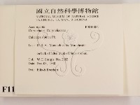 登錄號:F0011484藏品圖，第2張