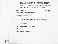 登錄號:F0011485藏品圖，第2張