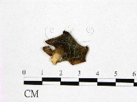 登錄號:F0011485藏品圖，第1張