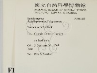 登錄號:F0011489藏品圖，第2張