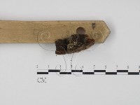 登錄號:F0011489藏品圖，第1張