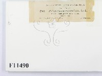 登錄號:F0011490藏品圖，第3張
