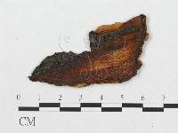 登錄號:F0011490藏品圖，第1張