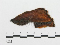 登錄號:F0011490藏品圖，第4張