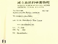 登錄號:F0011491藏品圖，第2張