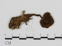 登錄號:F0011492藏品圖，第3張