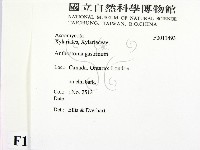 登錄號:F0011493藏品圖，第2張