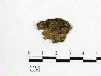 登錄號:F0011493藏品圖，第1張