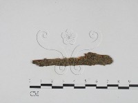 登錄號:F0011498藏品圖，第1張